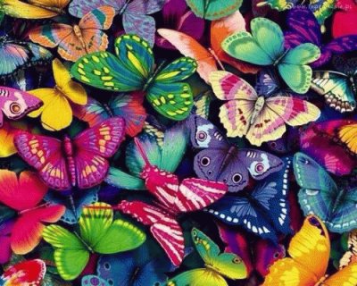 פאזל של butterflies