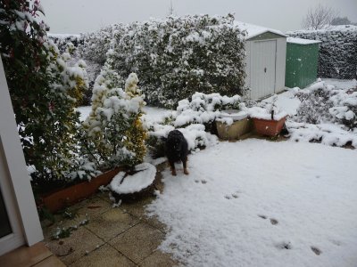 Lilou dans la neige