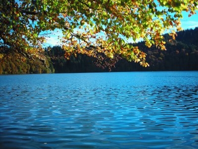 Beau lac en Auvergne jigsaw puzzle