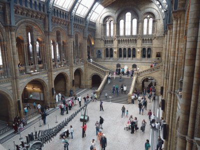פאזל של Museu Natural de HistÃ³ria - Londres