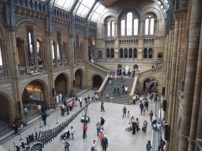 Museu Natural de HistÃ³ria - Londres jigsaw puzzle