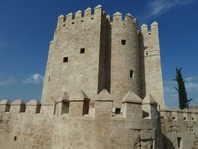 Fortress Cordoba jigsaw puzzle