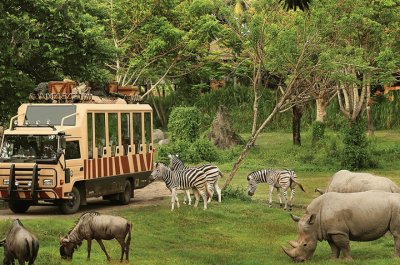 safari and marine park jigsaw puzzle