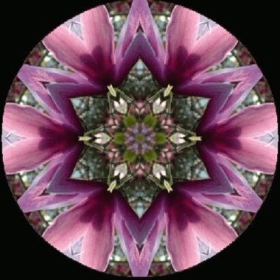 mandala