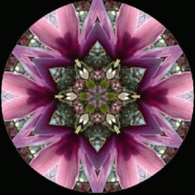 mandala