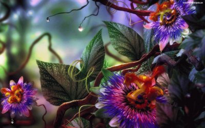 plantas_y_flores jigsaw puzzle