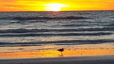 פאזל של Indian Rocks Beach FL. -winter sunset