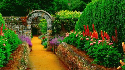 Garden jigsaw puzzle