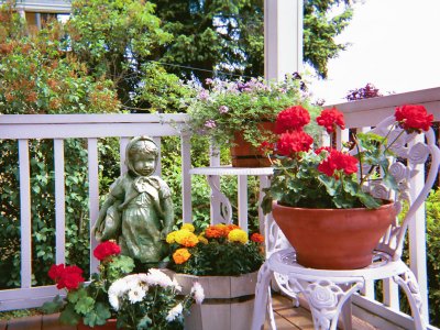 Container garden