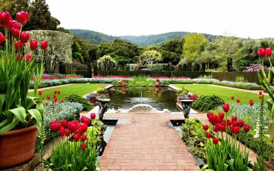 פאזל של Garden with water