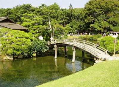 river scene jigsaw puzzle