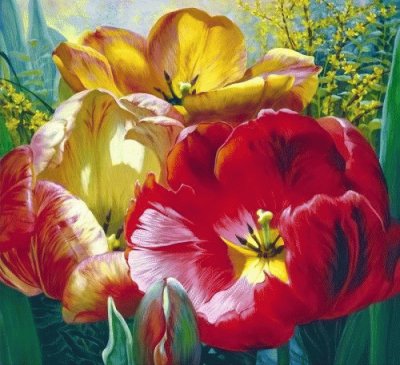 Spring Tulips