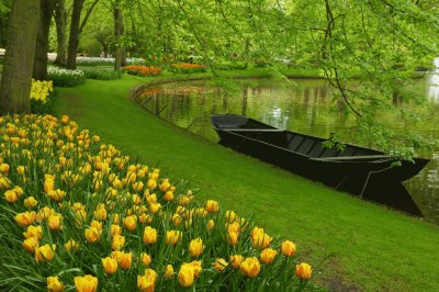 Keukenhof