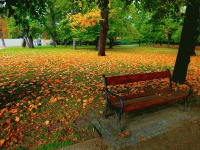 otoÃ±o jigsaw puzzle