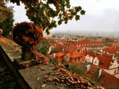 otoÃ±o jigsaw puzzle