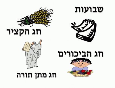 פאזל של ×©×‘×•×¢×•×ª