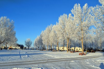 Winter in Alberta