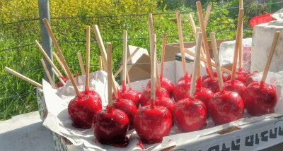 sweet apple jigsaw puzzle