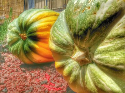 pumpkin jigsaw puzzle