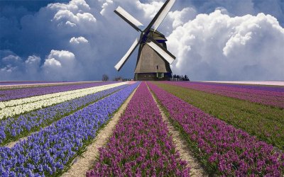 holand jigsaw puzzle