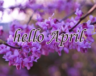 Hello April