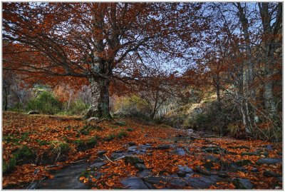 פאזל של paisaje