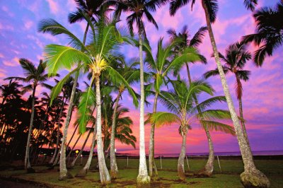 Sunset in Paradise - Hawaii jigsaw puzzle