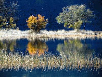 Lago Falkner. NeuquÃ©n. Argentina