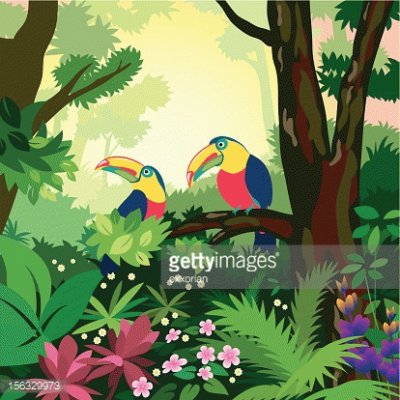 parrot jigsaw puzzle