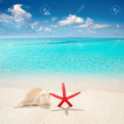 seaShell jigsaw puzzle