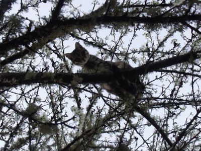 Lookout Below jigsaw puzzle