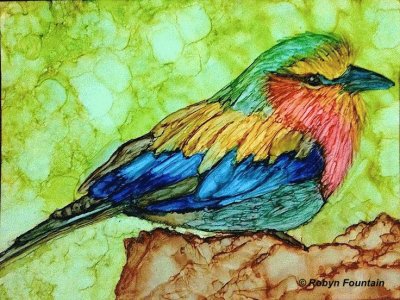 Robyn Bird