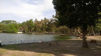 פאזל של Lago