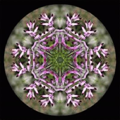 mandala