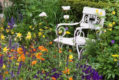 White Chair in Beautiful Garden