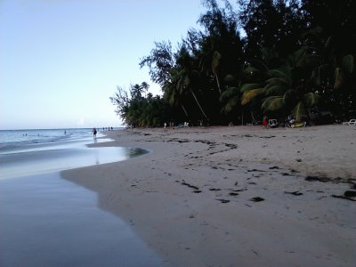 Playa de Las Terrenas jigsaw puzzle