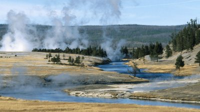 פאזל של Yellowstone National Park