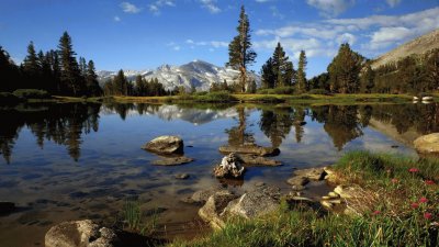 Country Water Scene jigsaw puzzle