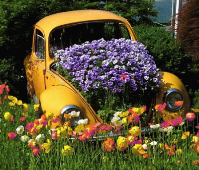Unique Volkswagen Beetle Flower Planter