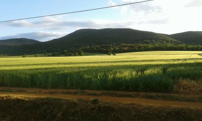 i colori della maremma - Marina D 'Alberese