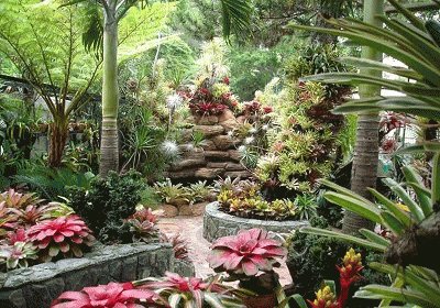פאזל של jardin venezolano