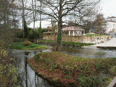 nature jigsaw puzzle