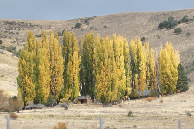 Cerca de JunÃ­n de los Andes. NeuquÃ©n. Argentina