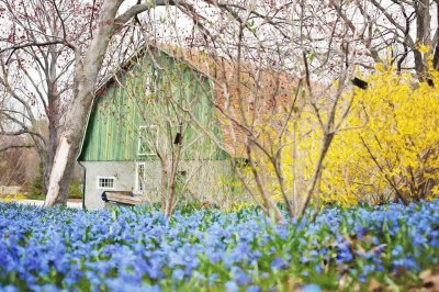 Country Scene jigsaw puzzle