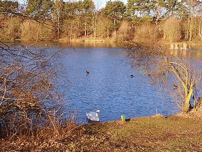 Shipley Country Park jigsaw puzzle