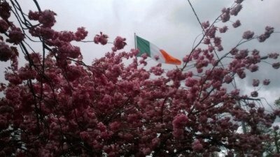 Dublin - Ireland jigsaw puzzle