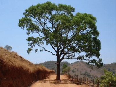 Moeda - Minas Gerais-Brazil jigsaw puzzle