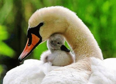 mom#214