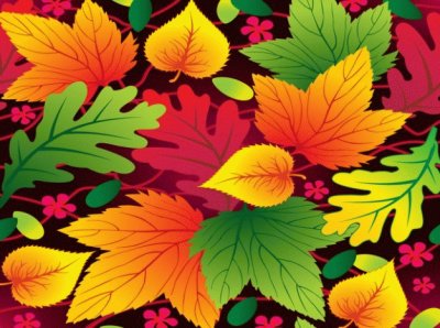 COLORI