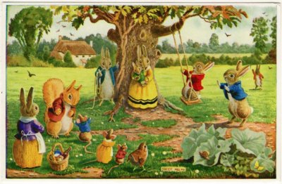 coelhos